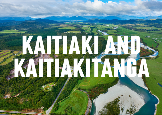 Kaitiaki and Kaitiakitanga